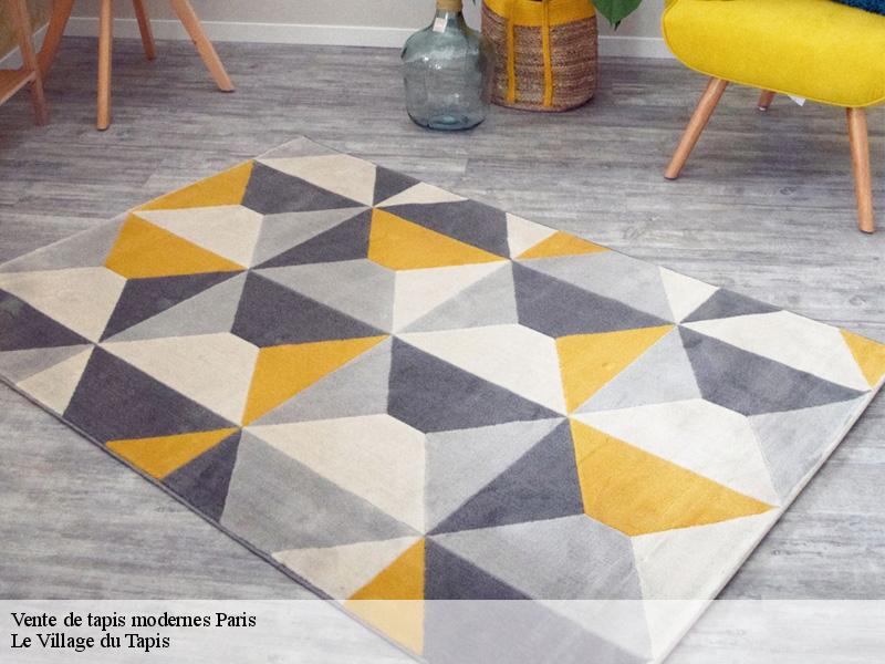 Vente de tapis modernes 75 Paris  Le Village du Tapis