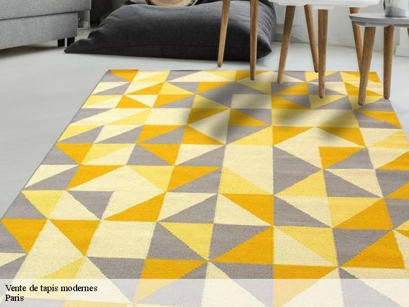 Vente de tapis modernes 75 Paris  Le Village du Tapis