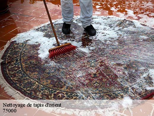 Nettoyage de tapis d'orient  paris-75000 Le Village du Tapis