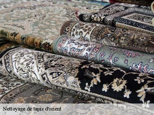 Nettoyage de tapis d'orient  paris-75000 Le Village du Tapis