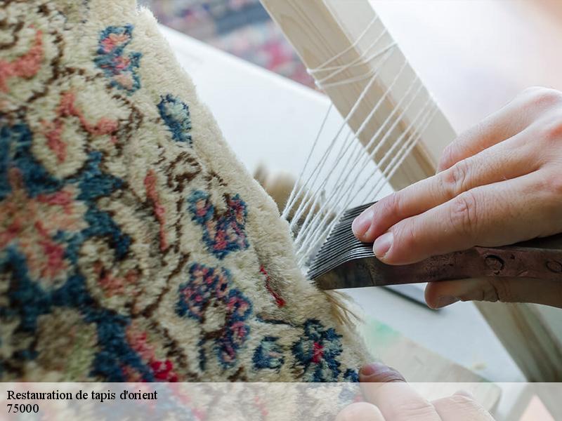 Restauration de tapis d'orient  paris-75000 Le Village du Tapis