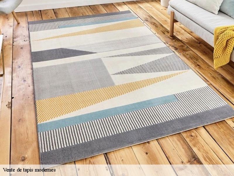 Vente de tapis modernes  paris-75000 Le Village du Tapis