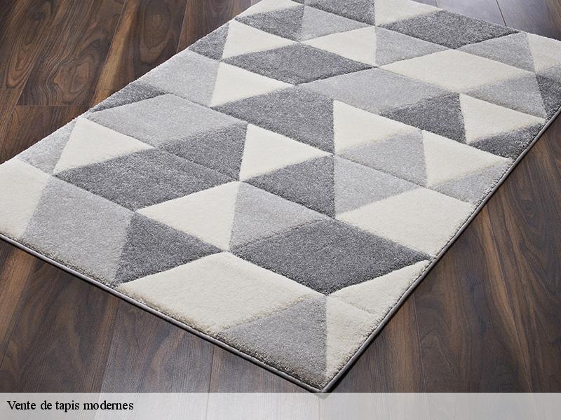 Vente de tapis modernes  paris-75000 Le Village du Tapis