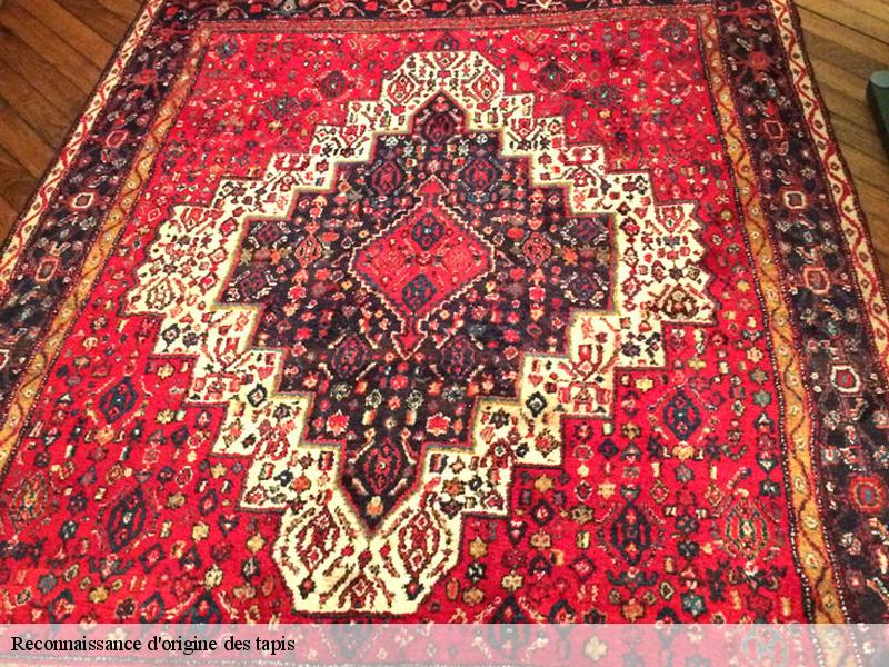 Reconnaissance d'origine des tapis  paris-75000 Le Village du Tapis