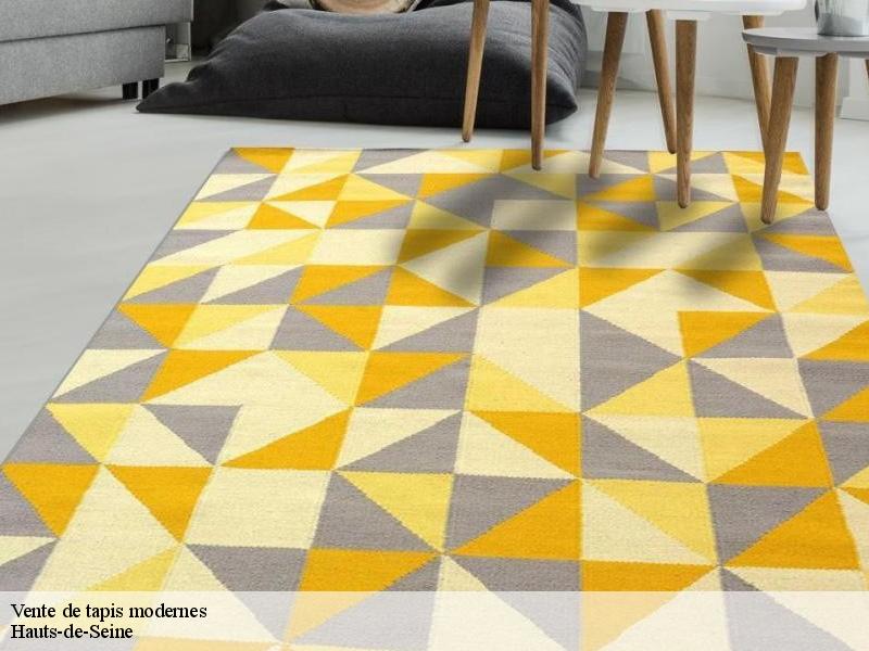 Vente de tapis modernes 92 Hauts-de-Seine  Le Village du Tapis