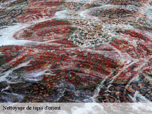 Nettoyage de tapis d'orient  la-butte-rouge-92290 Le Village du Tapis