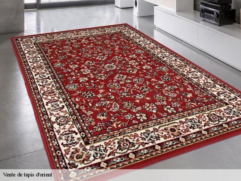 Vente de tapis d'orient  le-plessis-robinson-92350 Le Village du Tapis