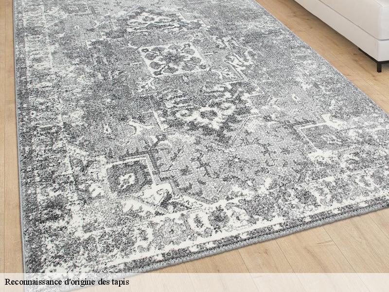 Reconnaissance d'origine des tapis  le-plessis-robinson-92350 Le Village du Tapis