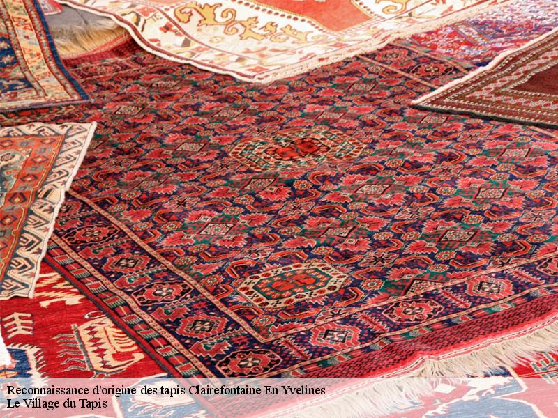 Reconnaissance d'origine des tapis  clairefontaine-en-yvelines-78120 Le Village du Tapis