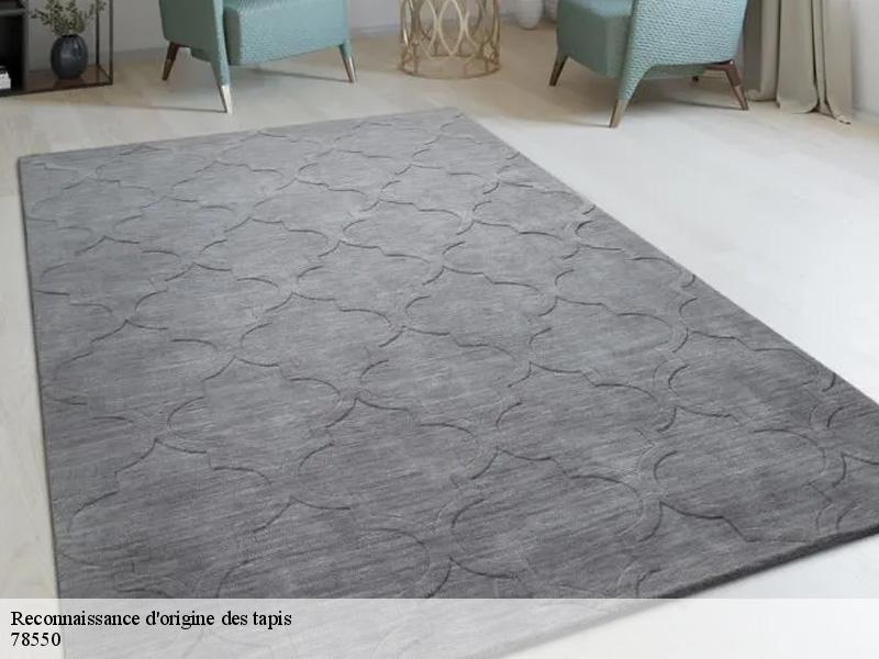 Reconnaissance d'origine des tapis  thionville-sur-opton-78550 Le Village du Tapis