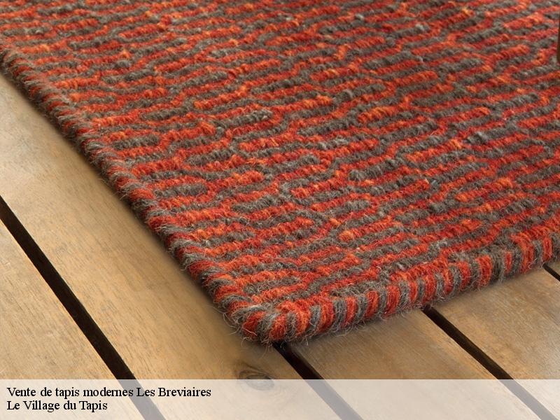 Vente de tapis modernes  les-breviaires-78610 Le Village du Tapis