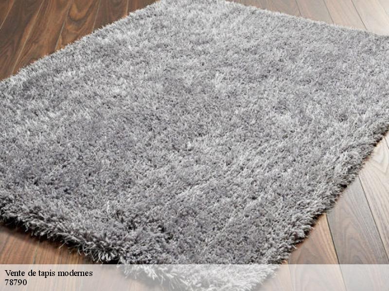 Vente de tapis modernes  courgent-78790 Le Village du Tapis