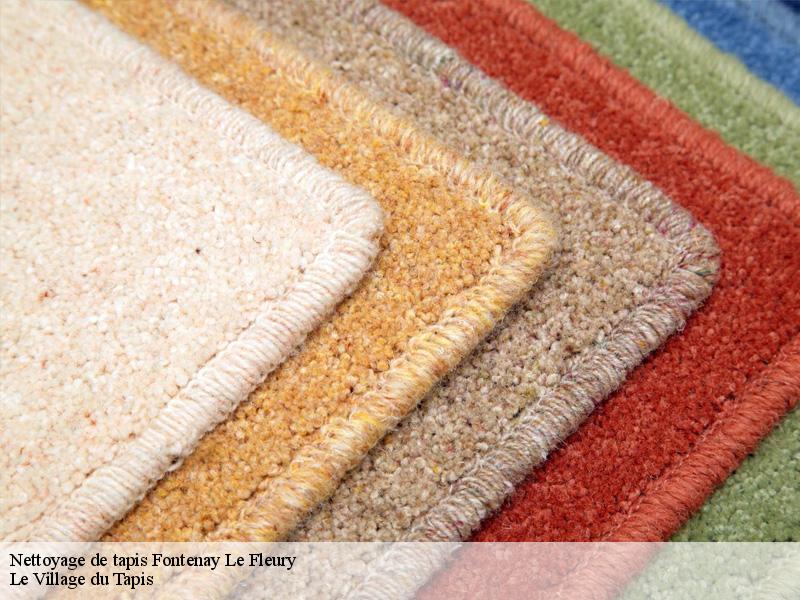 Nettoyage de tapis  fontenay-le-fleury-78330 Le Village du Tapis