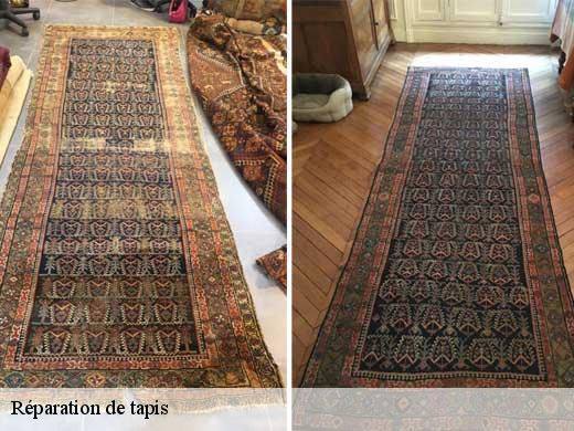 Réparation de tapis  asnieres-sur-seine-92600 Le Village du Tapis