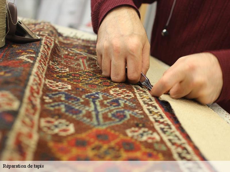 Réparation de tapis  asnieres-sur-seine-92600 Le Village du Tapis