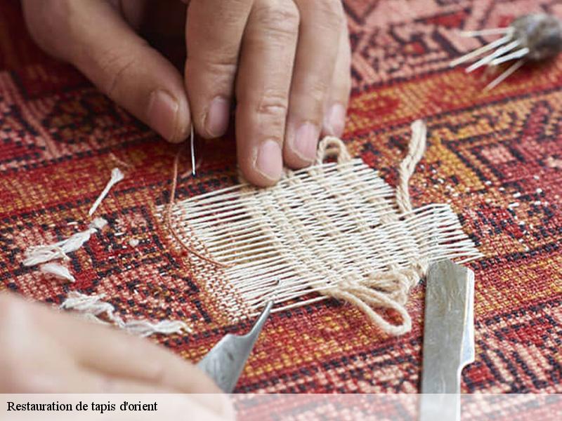 Restauration de tapis d'orient  boulogne-billancourt-92100 Le Village du Tapis